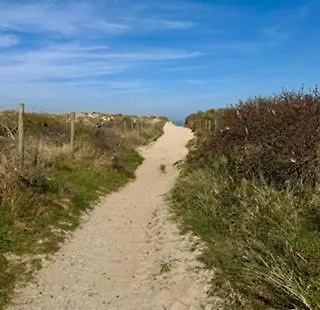 Seaside Nest De Panne