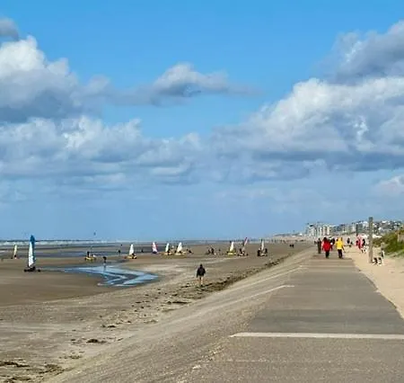 Seaside Nest *